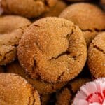 Extreme close-up of a single, sugar-coated molasses cookie with a prominent crackle on its surface.