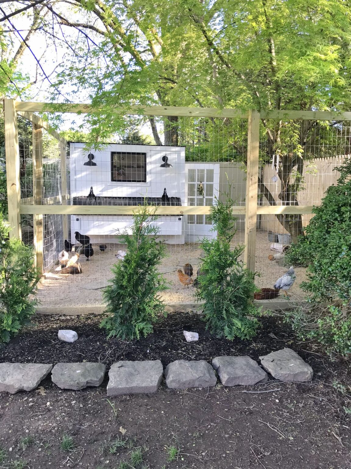 17 Chicken Coop Ideas for Backyard Hens - Makyla Creates
