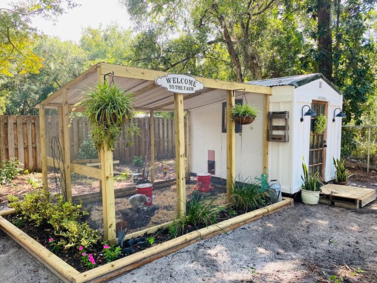 17 Chicken Coop Ideas for Backyard Hens - Makyla Creates
