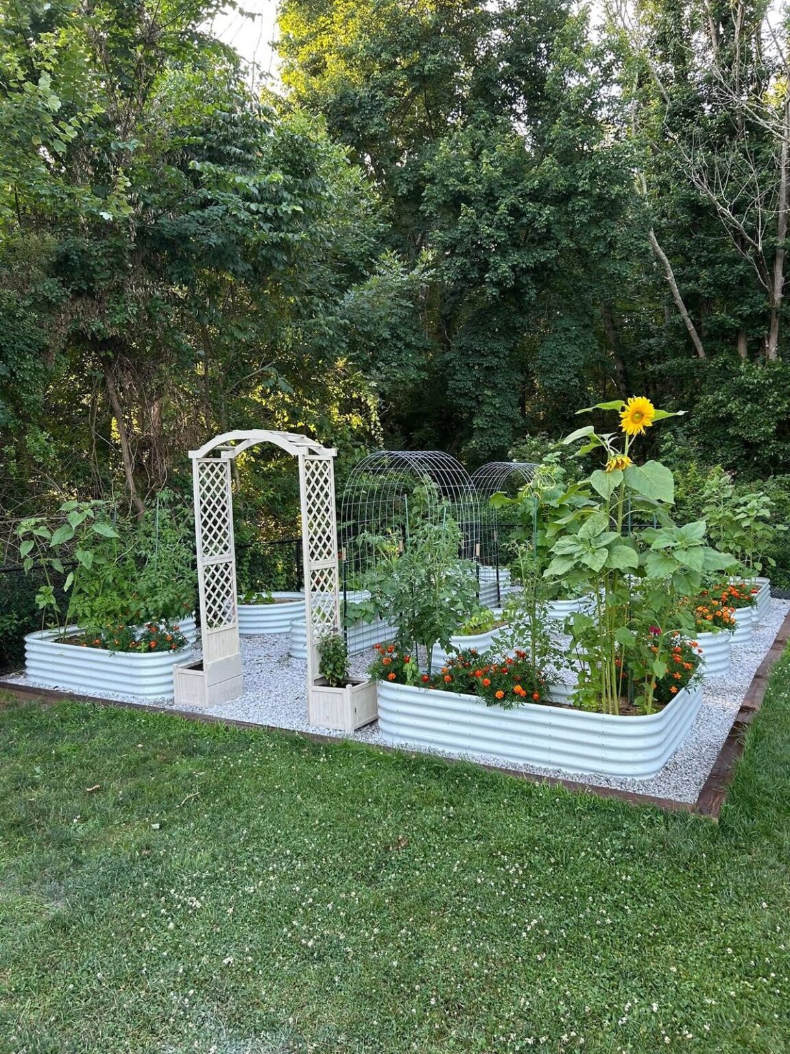 16 Raised Garden Bed Ideas for Maximum Harvests - Makyla Creates