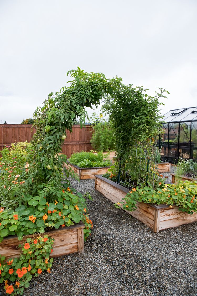 16 Raised Garden Bed Ideas for Maximum Harvests - Makyla Creates