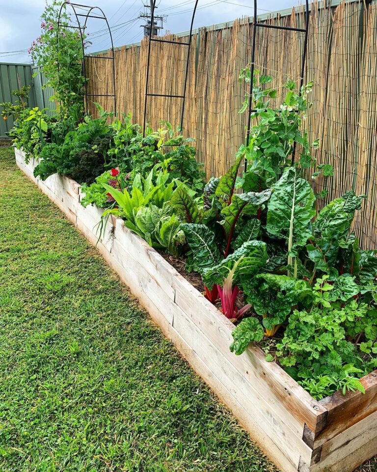 16 Raised Garden Bed Ideas for Maximum Harvests - Makyla Creates