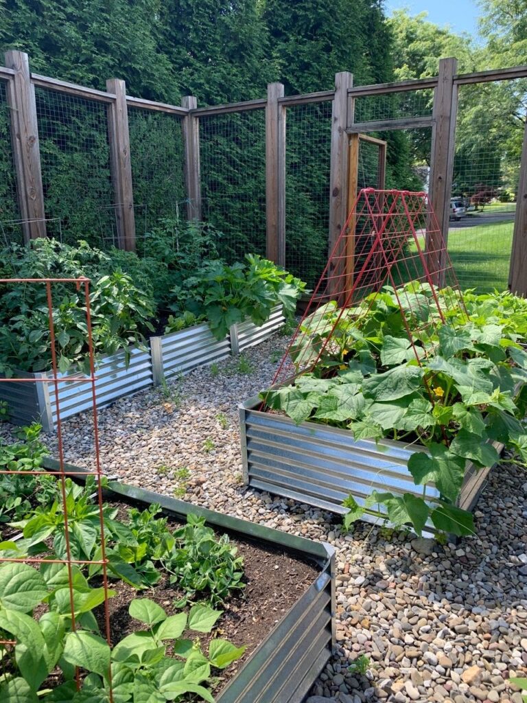 16 Raised Garden Bed Ideas for Maximum Harvests - Makyla Creates