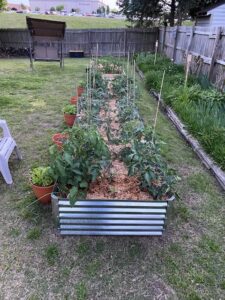 16 Raised Garden Bed Ideas for Maximum Harvests - Makyla Creates