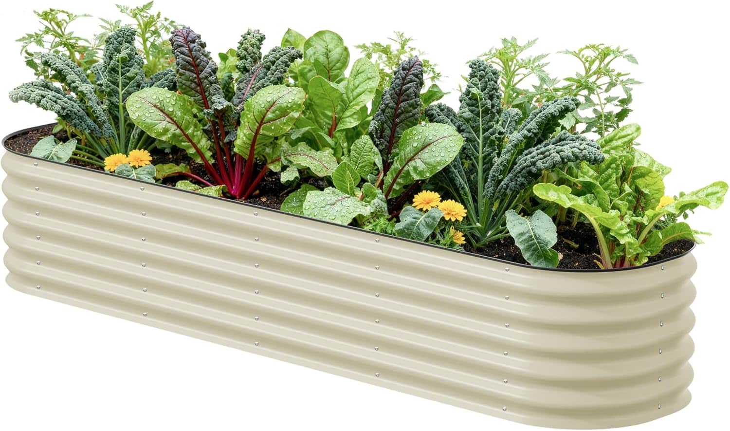 16 Raised Garden Bed Ideas for Maximum Harvests - Makyla Creates