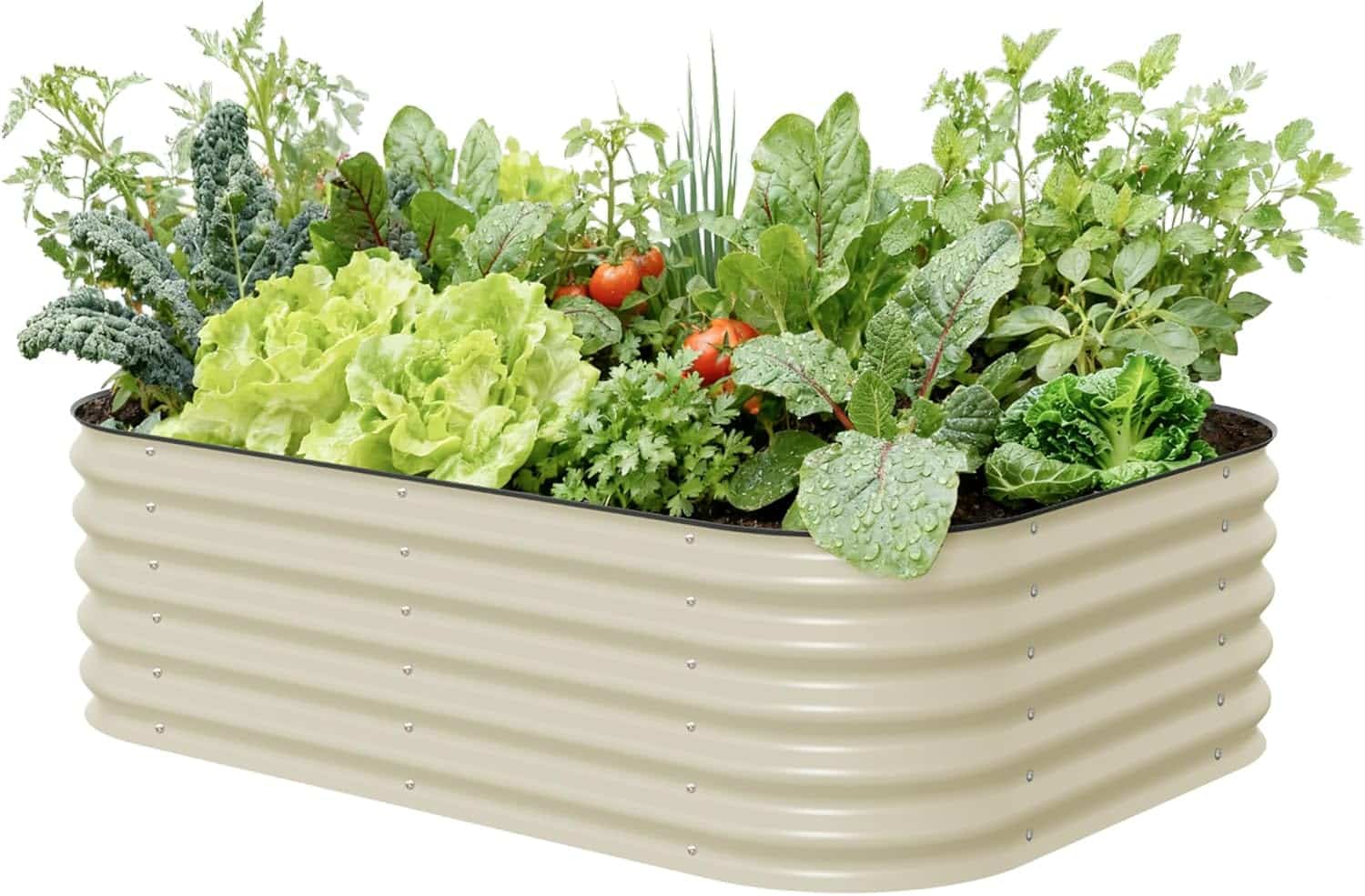 16 Raised Garden Bed Ideas for Maximum Harvests - Makyla Creates
