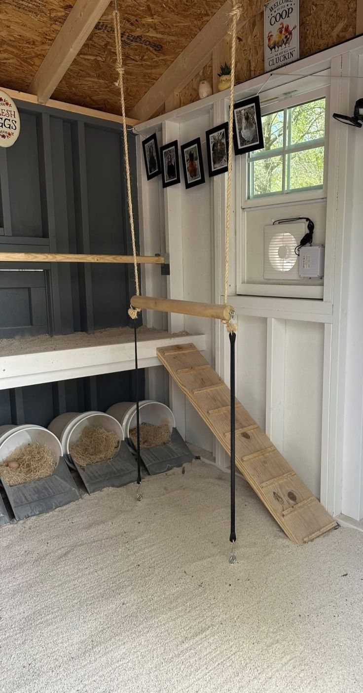 Charming chicken coop interior with dark grey-painted walls, rope-hung wooden swing perches, bucket nest boxes on the floor, framed chicken photo gallery on the white back wall, and decorative signs including Fresh Eggs. Wooden ramp in the foreground.