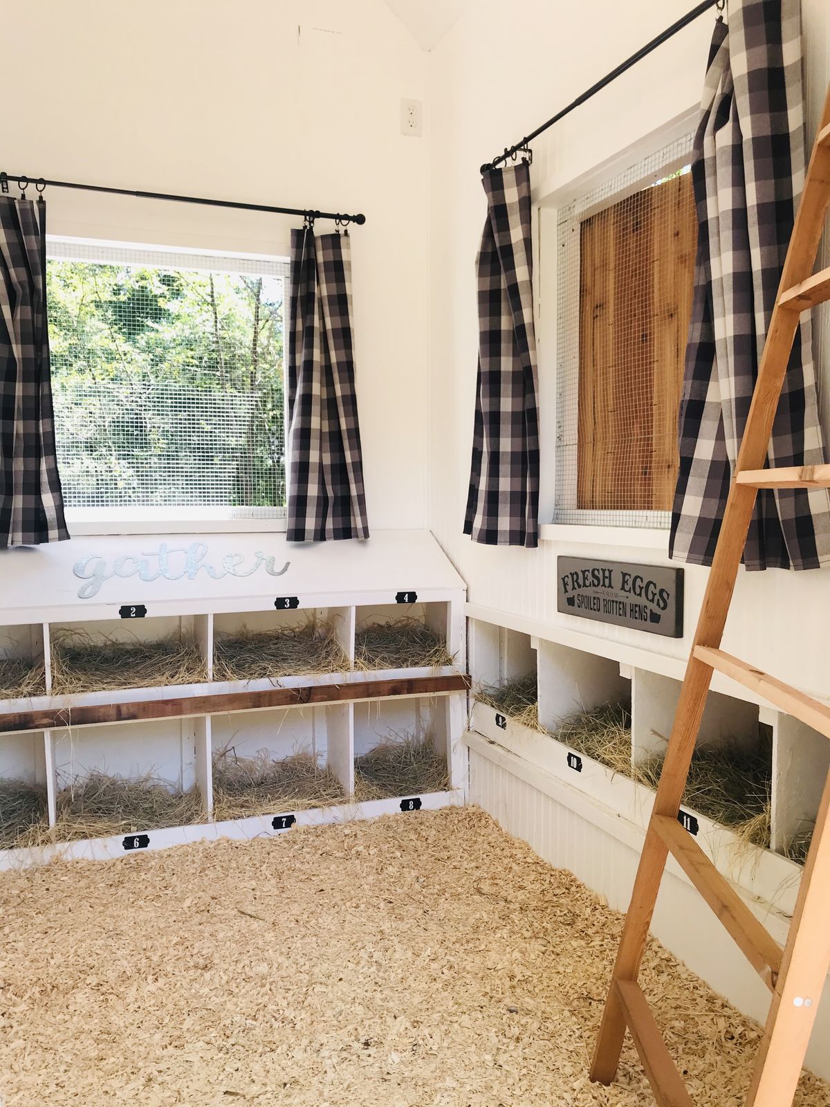 Farmhouse-style chicken coop interior with white-painted walls, large windows dressed with black and white buffalo check curtains, double row of white-painted numbered nesting boxes filled with golden straw, wooden ladder leaning against them, and Fresh Eggs sign on the right wall.