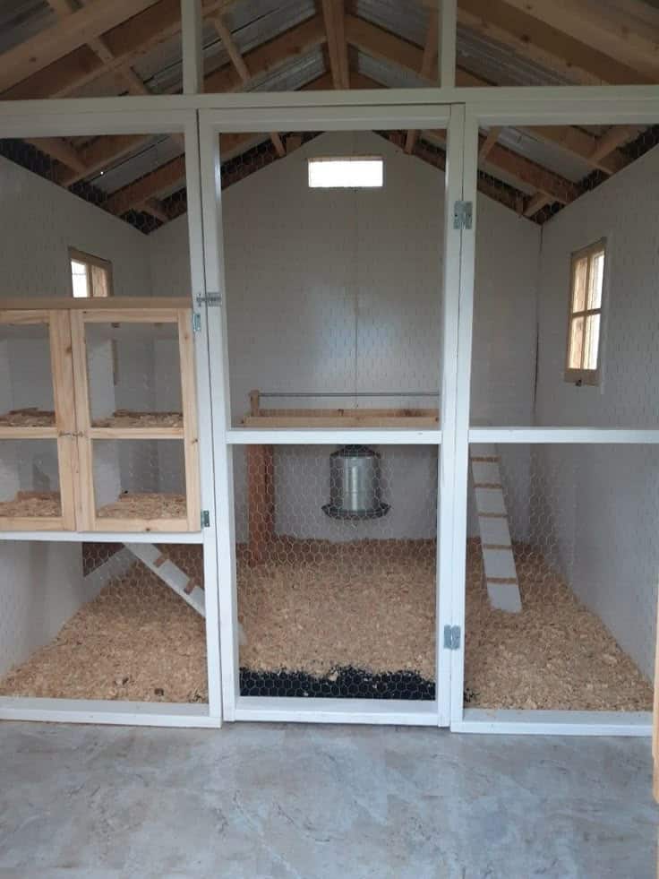 Clean white-painted chicken coop with hexagonal wire mesh divider wall and door creating separate main coop and brooding sections, two small framed windows, galvanised hanging feeder, small wooden ramp inside brooder section, and wood shaving floors throughout.