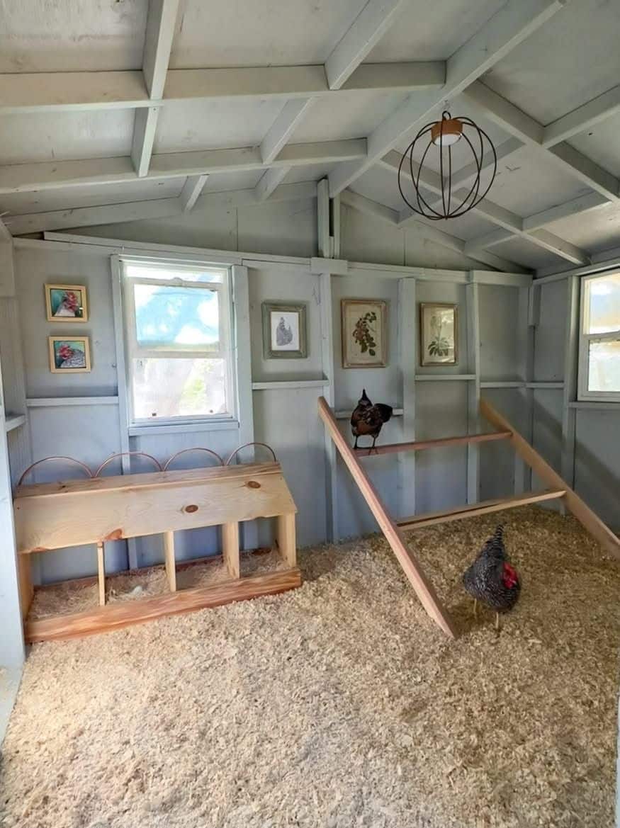 Enchanting sage blue-grey painted chicken coop interior with vaulted ceiling, wire orb pendant light, gallery wall of framed botanical and chicken portraits, freestanding timber nesting box with copper accents on the floor, wide ramp leading to upper roosting platform, and two chickens exploring the space.