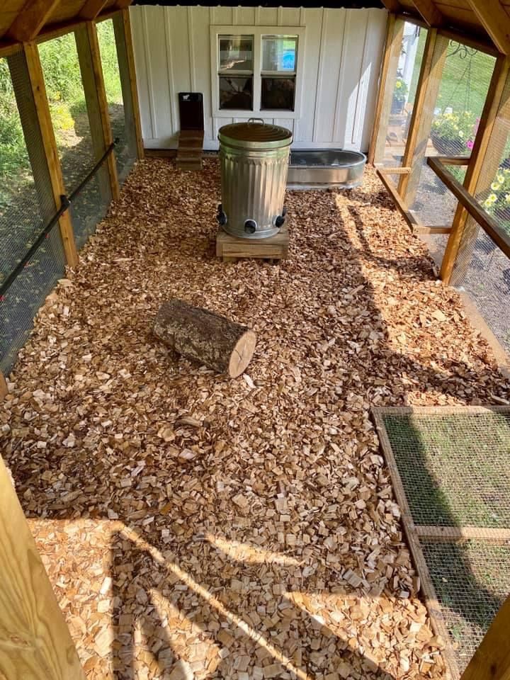 Spacious enclosed chicken run with deep wood chip litter floor bathed in golden afternoon sunlight, galvanised metal feeder on a small timber base in the centre, low natural log for enrichment, galvanised stock trough waterer, and a neat white-painted coop house with panelled door and four-pane window at the far end.
