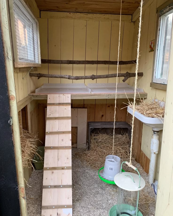Pale yellow-painted chicken coop interior with wooden ramp leading to elevated roosting platform, natural branch perch mounted across the wall, wall-mounted nesting basin filled with straw on the right, and rope hanging from the ceiling.