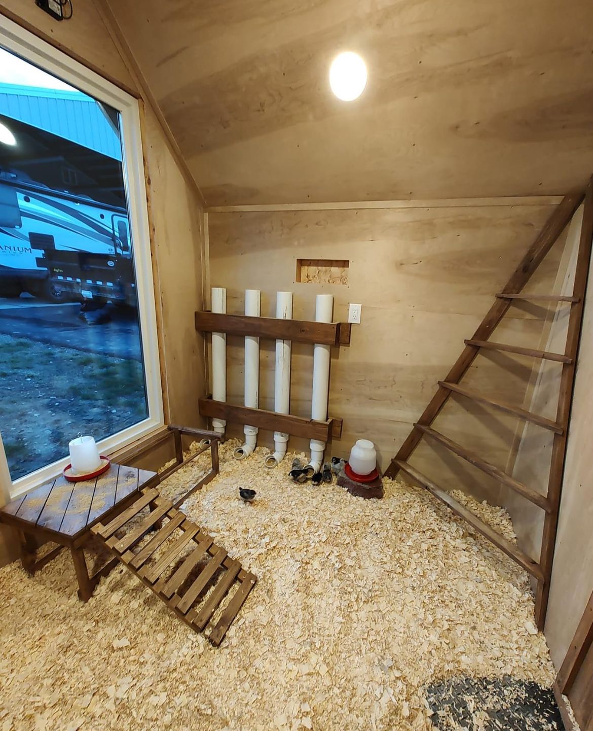 Modern farmhouse-style chicken coop interior with light plywood walls, large window, wooden ladder roosting frame on the right, and PVC pipe nesting tubes mounted on a timber frame against the back wall. Small wooden side table near the window.