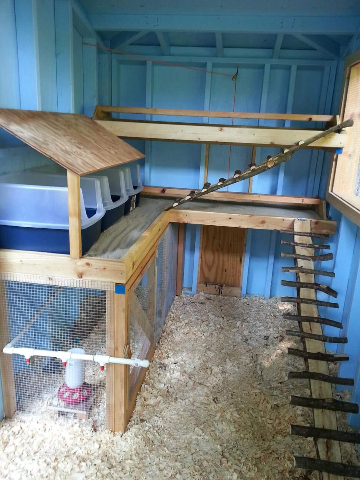 Blue-painted chicken coop interior with multi-level timber platforms, repurposed plastic storage boxes used as nesting areas, a natural branch ladder leaning against the wall, and a raised brood pen section with wire mesh front at ground level.