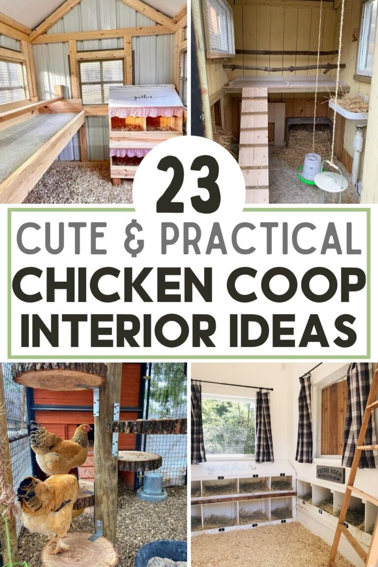 23 Chicken Coop Interior Ideas That Make Coop Life Easier - Makyla Creates