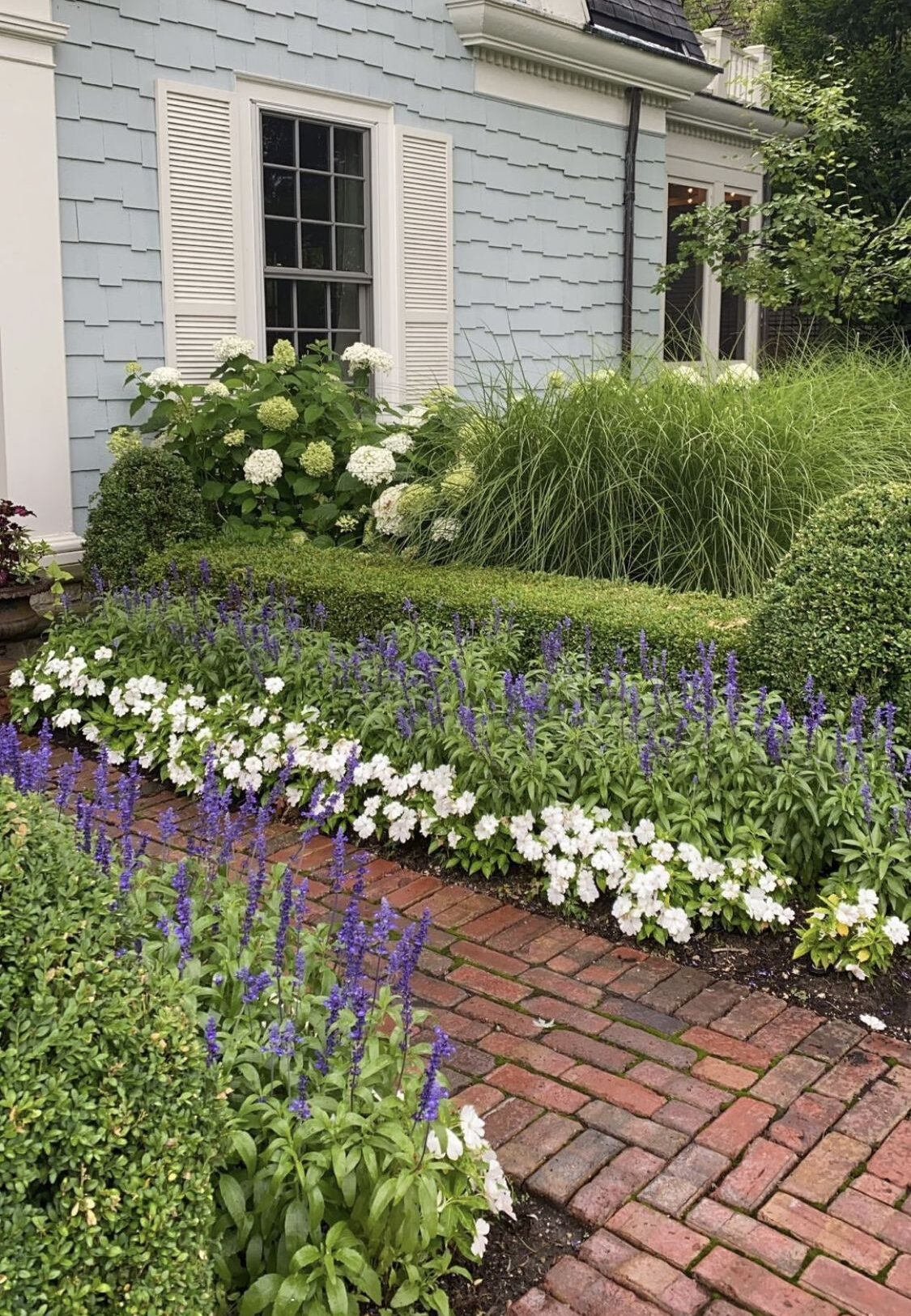 Front flower bed with blue salvia, white impatiens, and white hydrangeas against a blue-grey house