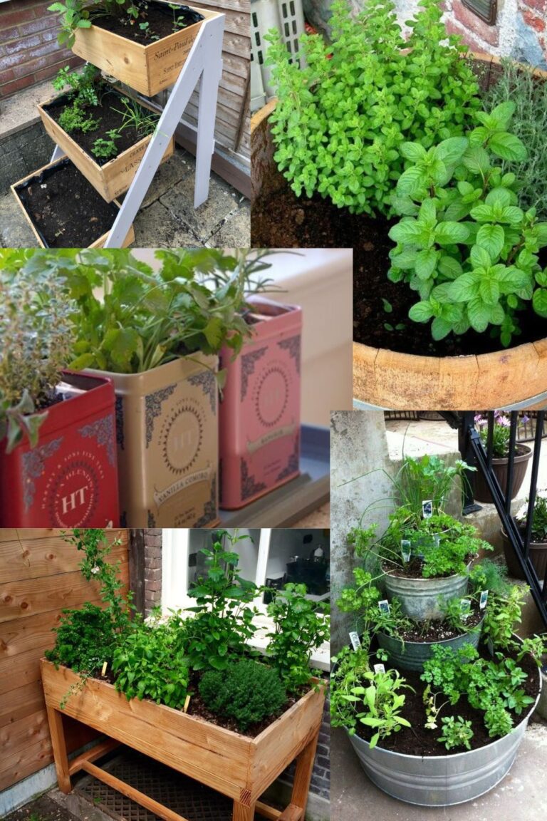 21 Herb Garden Ideas That Make Growing Your Own Herbs Easy