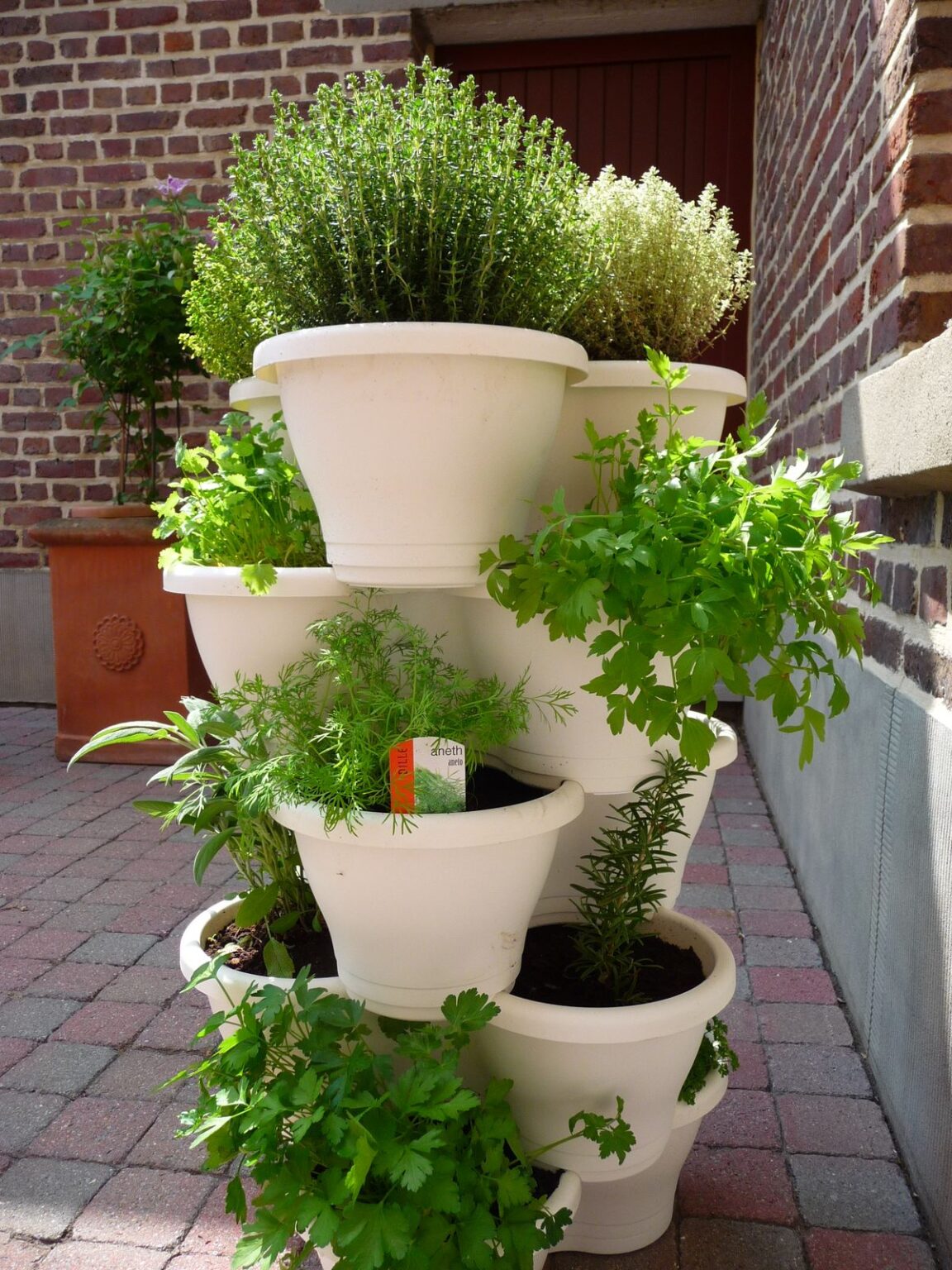 21 Herb Garden Ideas That Make Growing Your Own Herbs Easy - Makyla Creates