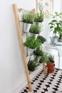 21 Herb Garden Ideas That Make Growing Your Own Herbs Easy - Makyla Creates