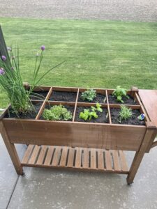 21 Herb Garden Ideas That Make Growing Your Own Herbs Easy - Makyla Creates