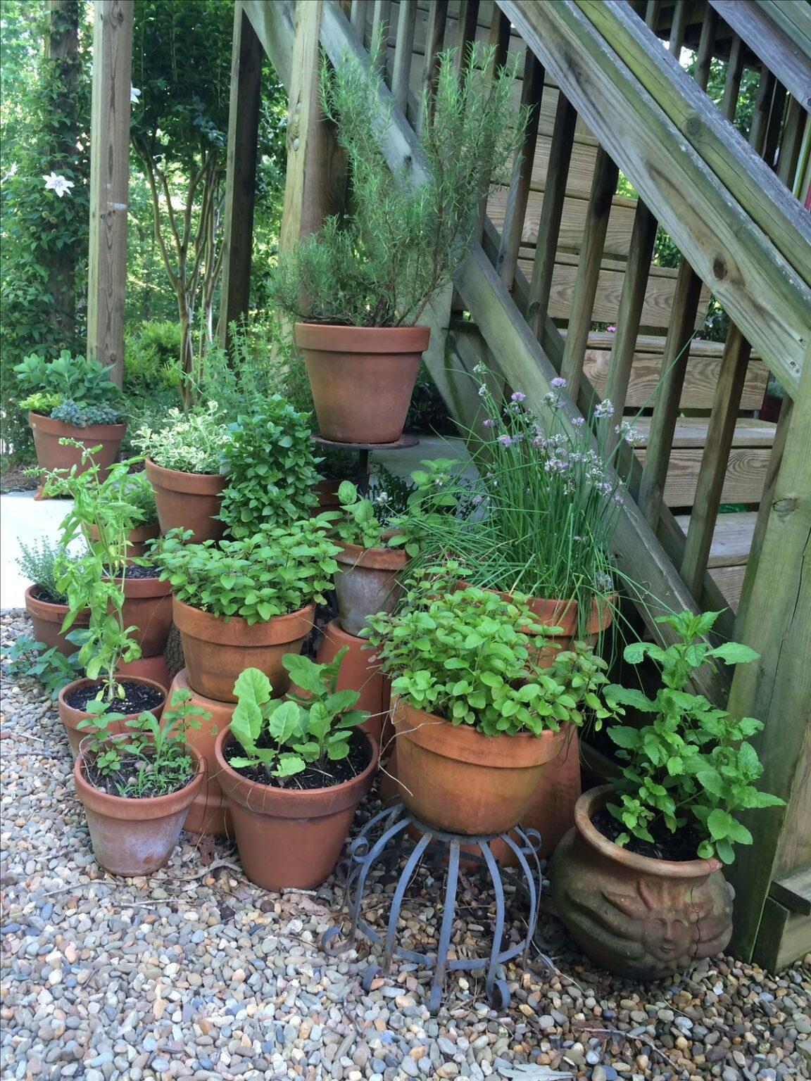 21 Herb Garden Ideas That Make Growing Your Own Herbs Easy - Makyla Creates