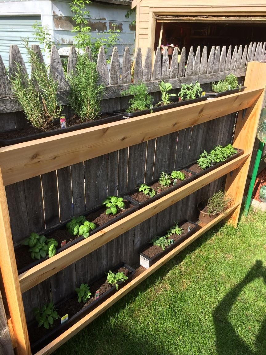 21 Herb Garden Ideas That Make Growing Your Own Herbs Easy - Makyla Creates