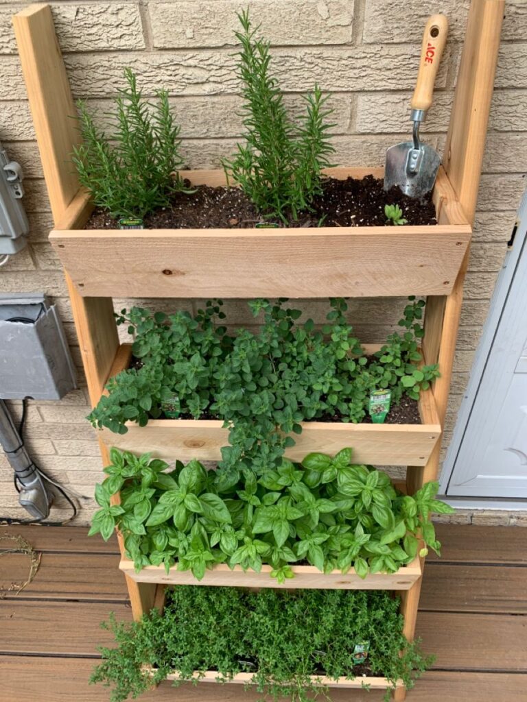 21 Herb Garden Ideas That Make Growing Your Own Herbs Easy - Makyla Creates