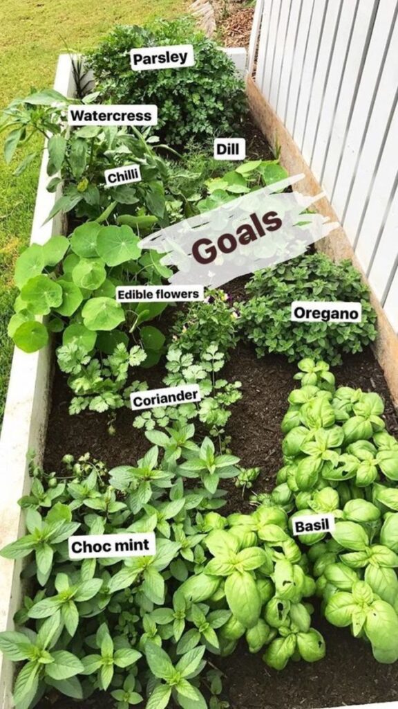 21 Herb Garden Ideas That Make Growing Your Own Herbs Easy - Makyla Creates