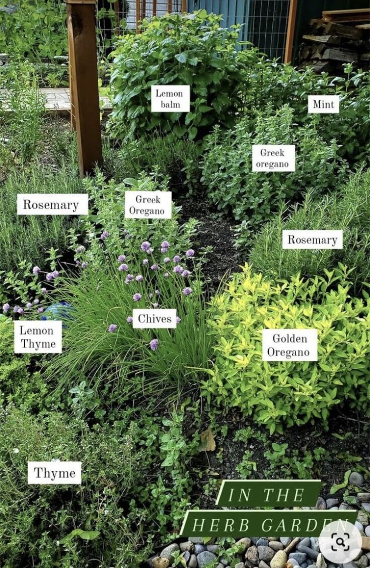 21 Herb Garden Ideas That Make Growing Your Own Herbs Easy - Makyla Creates