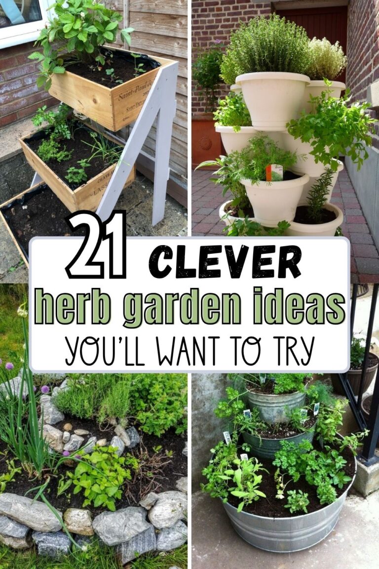 21 Herb Garden Ideas That Make Growing Your Own Herbs Easy - Makyla Creates