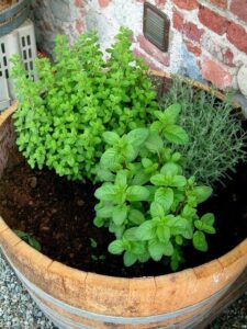 21 Herb Garden Ideas That Make Growing Your Own Herbs Easy - Makyla Creates