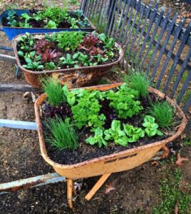 21 Herb Garden Ideas That Make Growing Your Own Herbs Easy - Makyla Creates
