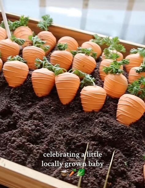 Peter Rabbit baby shower carrot cake pops decorated in orange chocolate and displayed as a carrot patch in a wooden planter box filled with crushed chocolate cookie soil
