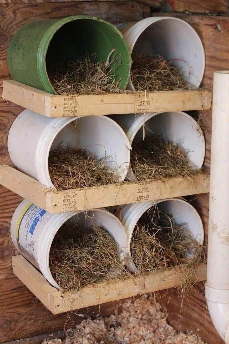Six five-gallon plastic buckets laid on their sides with circular openings filled with straw hay, stacked two-by-three on a simple timber shelf frame inside a wooden chicken coop