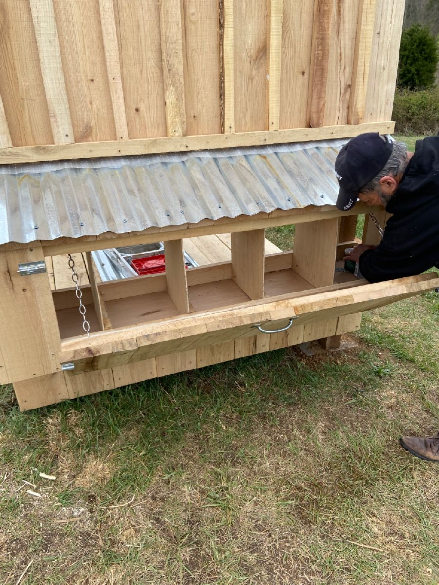 Exterior of a cedar chicken coop with a hinged drop-down wooden access panel open, revealing three individual nesting box compartments with a corrugated metal roof overhang, with a person inspecting the build