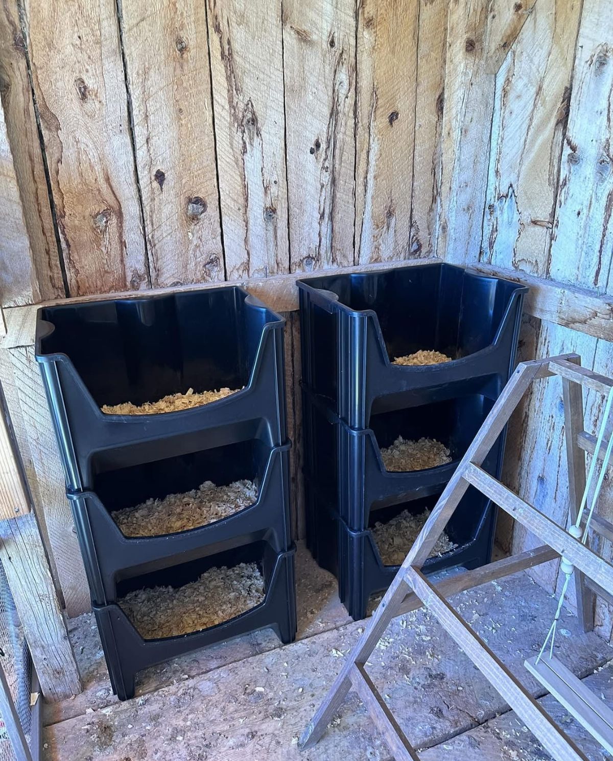 Four stacked black plastic storage bins used as nesting boxes filled with wood shaving bedding inside a rustic timber chicken coop