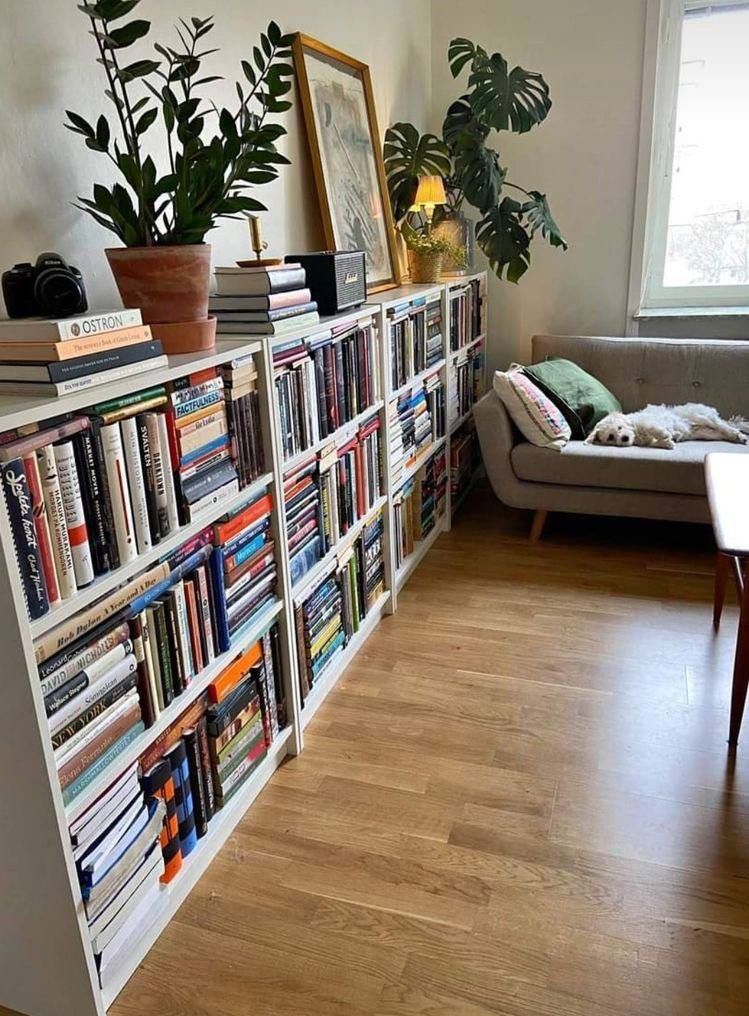 White low bookcase completely filled with books wall to wall, topped with large indoor plants, in a Scandinavian-style living room