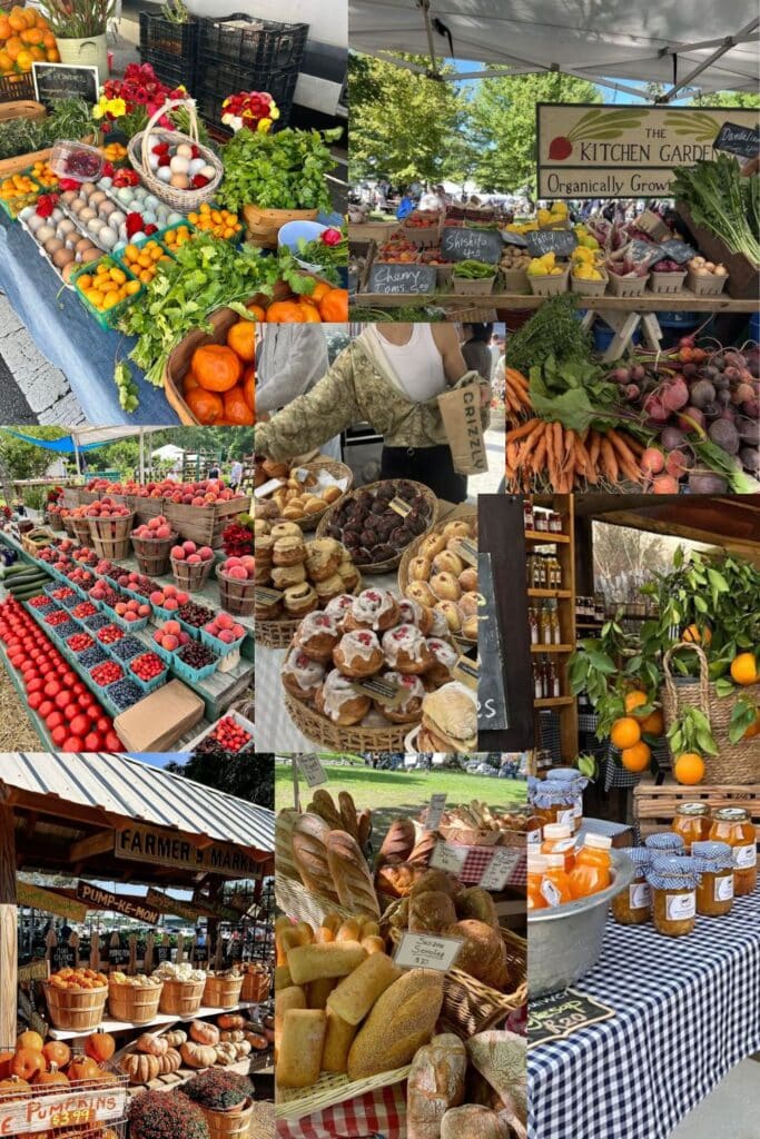 Trying to figure out how to make your farmers market stall stand out from the booth next to you? These 17 farmers market stall ideas cover display tricks, signage, and setup tips that help vendors attract more shoppers and sell more product every week. Whether you sell produce, flowers, or baked goods, you will find a practical idea that fits your stand and your budget.