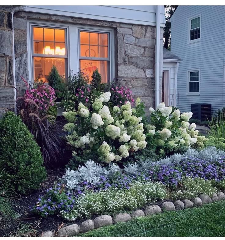 Cottage garden front border with white panicle hydrangeas, ornamental grasses, purple ageratum, and silver dusty miller in front of a stone house