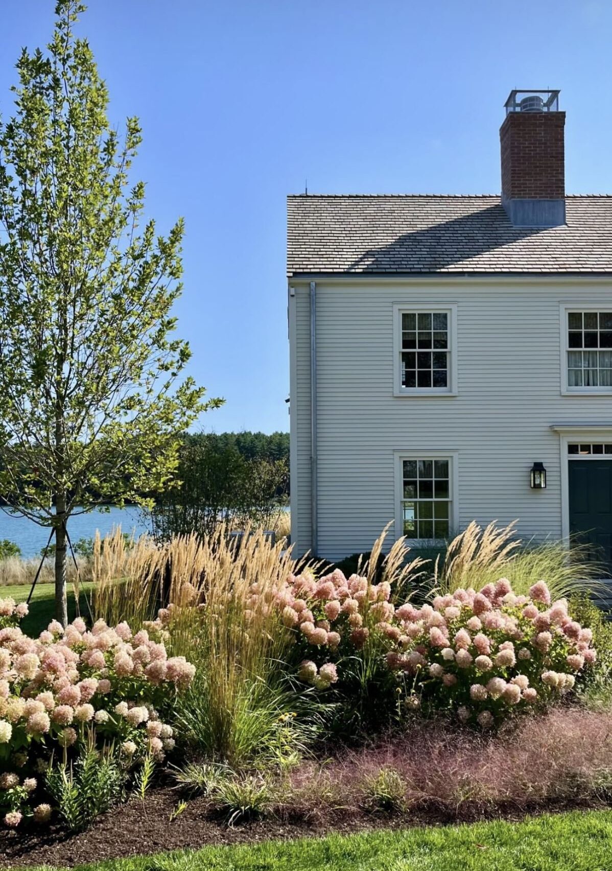 Cottage garden front border with white panicle hydrangeas, ornamental grasses, purple ageratum, and silver dusty miller in front of a stone house