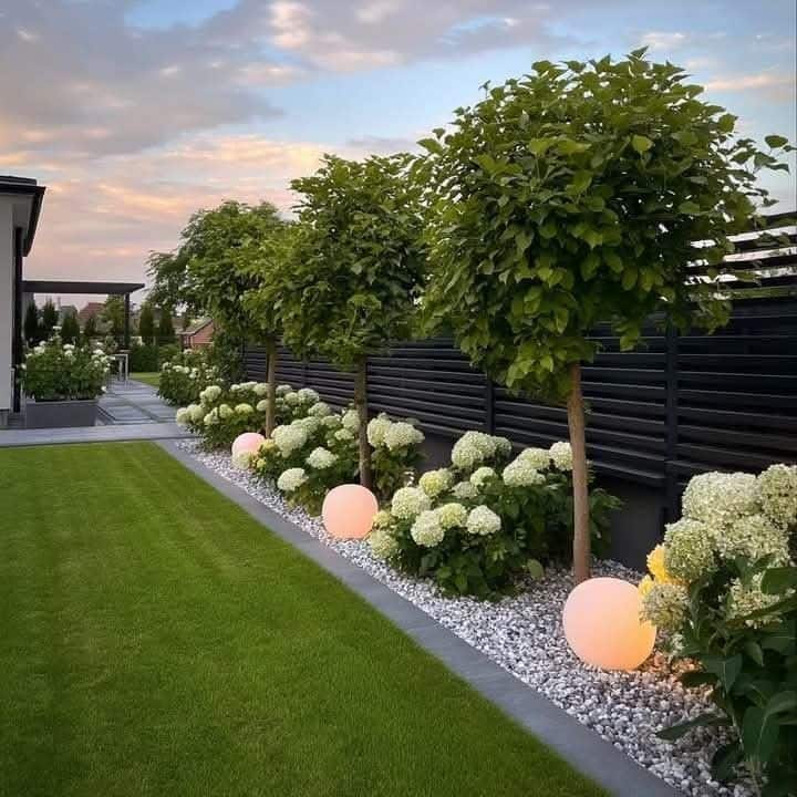 White hydrangea shrubs planted in a white gravel border along a dark fence line with large glowing round garden lights placed between the plants at dusk