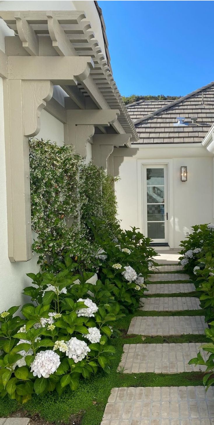 White hydrangeas planted on either side of a stone stepping path leading to a white rendered home with a pergola overhead