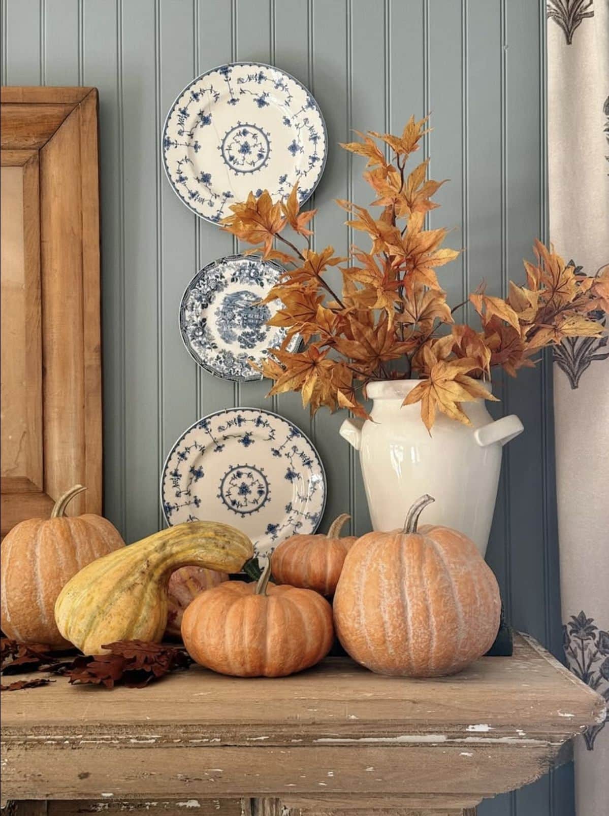 Blue and white transferware plate wall styled above heirloom pumpkins and leaves