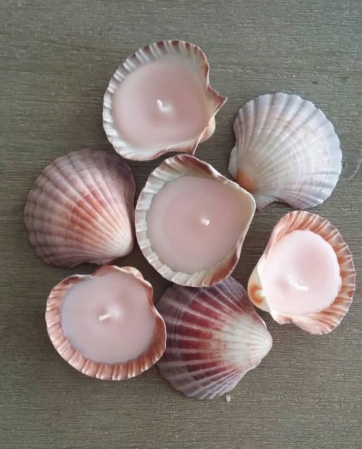 Scallop shells filled with blush pink wax to make small candles